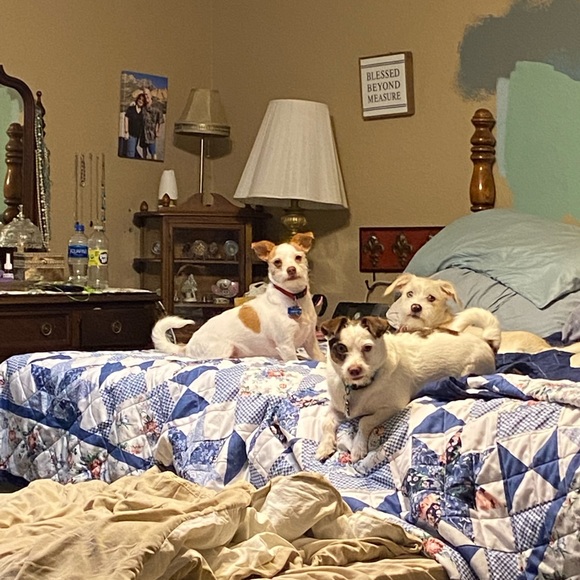 Enjoy the Time of your Life - Picture 4 of 4